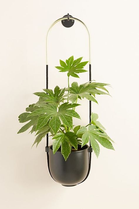 Bolo Hanging Planter Hanging Plants Outdoor, Hanging Plants Diy, Tiered Planter, Plant Hanging, Hanging Plants Indoor, Planter Table, Bathroom Plants, Hanging Plant, Hanging Planter