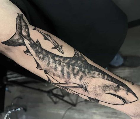 Tiger Shark Tattoo, Shark Tattoo, Shark Tattoos, Tiger Shark, Hip Tattoo, Pin Collection, Sleeve Tattoos, Tattoo Ideas, Tattoos