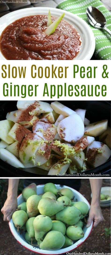 Slow Cooker Pear & Ginger Applesauce - One Hundred Dollars a Month Pear Sauce, Applesauce Recipe, Recipe Slow Cooker, Pear Ginger, Apple Sauce Recipes, Paleo Crockpot, Pear Recipes, Buy Candles, Ginger Recipes