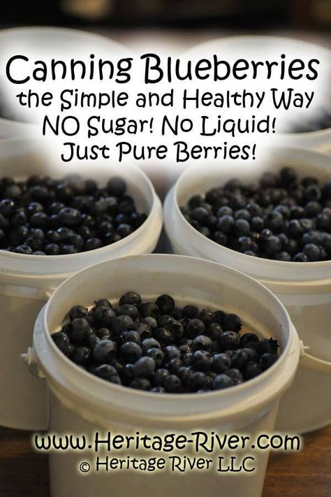 Canning Blueberries the Simple and Healthy Way: NO Added Sugar, Sweeteners or Liquids. By Heritage River, Heritage River LLC, Heritage-River.com Canning Blueberries, Pressure Canning Recipes, Canned Blueberries, Canning Fruit, Home Canning Recipes, Canning Vegetables, Canning Jam, Canning Food Preservation, Canned Food Storage