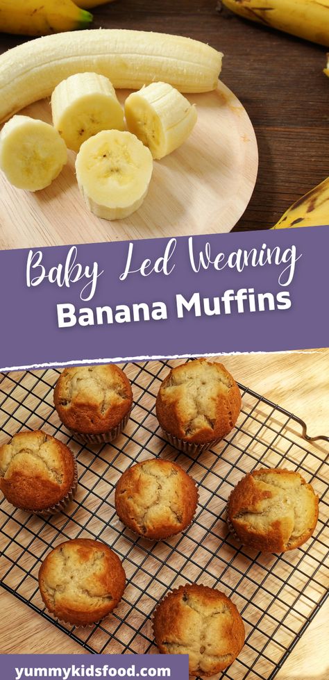 BLWrecipes 
BLWfoods Infant Banana Muffins, Homemade Baby Muffins, Blw Banana Oat Muffins, Blw Recipes With Banana, Blw Hamburger, Banana Blw Recipe, Blw Mini Muffins, Baby Friendly Banana Muffins, Eggless Blw Recipes