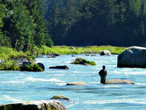 Alaska Salmon Fishing, Work Shoes For Men, Alaska Road Trip, Fishing Boats For Sale, Alaska Fishing, Ketchikan Alaska, Fishing Photos, Leaves And Branches, Start A Fire