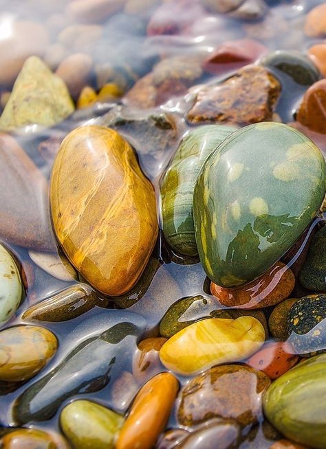 Aspen Art, Underwater Painting, Rock Textures, Inspiration Painting, Rock And Pebbles, Realistic Art, Watercolor Landscape, Stone Art, Rock Art