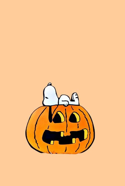 Snoopy Fall Wallpaper – Charlie Brown Halloween Pumpkin Wallpaper Halloween Wallpaper Iphone - davidreed.co Snoopy Laying On Pumpkin, Snoopy October Wallpaper, Fall Peanuts Aesthetic, Cute Halloween Wallpaper Snoopy, Snoopy On Pumpkin, Simplistic Halloween Wallpaper, Fall Wallpaper Cute Cartoon, Fall Themed Pictures, Cute Fall Pictures Backgrounds