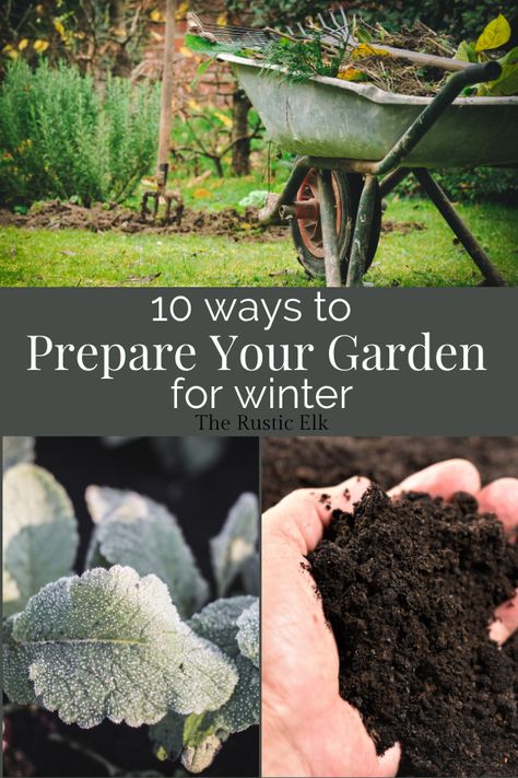 The frost has hit, it's time to prepare your vegetable garden for winter! These tips will help you take care of fall garden chores so you can have a bountiful harvest next spring and summer! #gardening #vegetablegarden Garding Ideas, Garden Planing, Growing Winter Vegetables, Epic Gardening, Modern Homestead, Winter Gardening, Homestead Ideas, Winter Crops, Starting Seeds Indoors