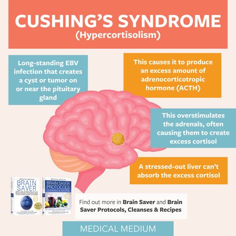 Cushing Syndrome, Medical Medium Anthony William, Cushings Disease, Cushings Syndrome, Medium Recipe, Anthony William, Healing Recipes, Medical Medium, Cleanse Recipes