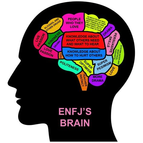 ENFJ's brain Esfj Personality, V Drama, Isfp Personality, Myer Briggs, Enfj Personality, Enfj T, Mbti Personality Types, Meyers Briggs, Myers Briggs Personality Types