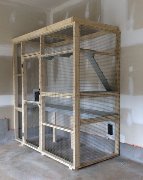 Cat Enclosure In Garage, Cat Litter Box Garage Enclosure, Cat Garage Ideas, Garage Cat House, Cat Litter Box In Garage, Indoor Raccoon Enclosure, Garage Cat Enclosure, Cat Area In Garage, Diy Indoor Cat Enclosure