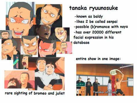 Tanaka Profile Haikyuu Tanaka, Tanaka Haikyuu, Tanaka Ryuunosuke, Bald Man, Monster High Art, Haikyuu Characters, High Art, Anime Stuff, Facial Expressions