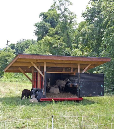 Mobile Sheep Barn Mobile Goat Shelter, Sheep House Ideas, Mobile Sheep Shelter, Simple Livestock Shelter, Portable Sheep Shelter, Sheep Barn Ideas, Sheep Barn, Goat Shelter With Hay Storage, Sheep Working Facility