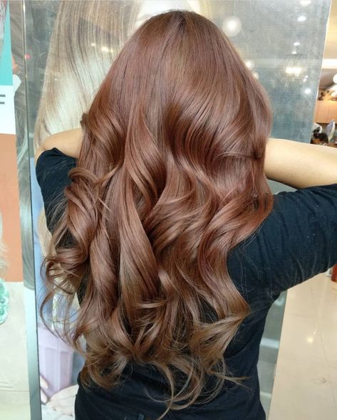 Cinnamon Brown Hair Colour, Light Golden Mahogany Brown Hair, Cute Hairstyles Brown Hair, Light Brown Hair Solid Color, Light Chestnut Brown Hair Color, Light Reddish Brown Hair Color, Light Brown Hair With Red Undertones, Hair Color Ideas For Dark Brunettes, Toffee Hair Color Brown