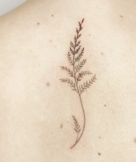 Knee Tattoo Plant, Fern Tattoo Behind Ear, Collar Bone Fern Tattoo, Hip Fern Tattoo, Fern Side Rib Tattoo, Dainty Fern Tattoo, Delicate Fern Tattoo, Tiny Fern Tattoo, Fern Hip Tattoo