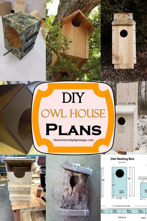 Diy Owl House, Owl House Plans, Bat Box Plans, Owl Birdhouse, Owl Nest Box, Diy Cat Shelves, Diy Cat Scratching Post, School Outside, Diy Cat Hammock