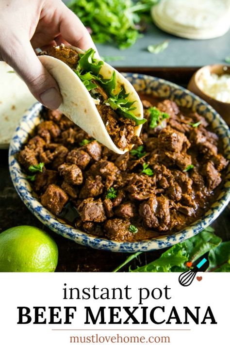 Carne Picada Instant Pot, Instant Pot Machaca Beef, Instant Pot Beef Tacos, Instant Pot Carne Guisada, Carne Picada Recipes Instant Pot, Ground Beef Instant Pot Recipes, Latina Kitchen, Instant Pot Carne Asada, Mexican Food Recipes Beef