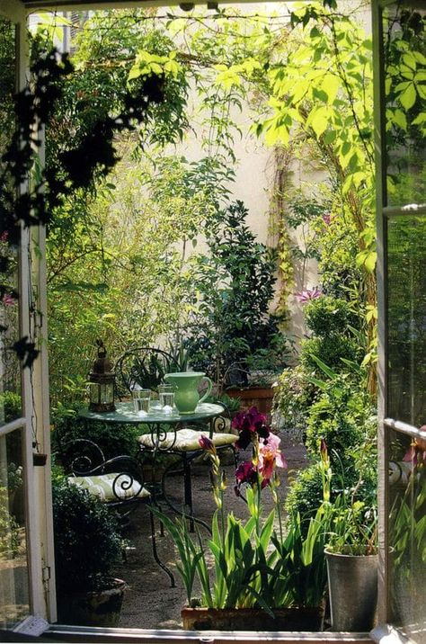 12 Outdoor Reading Spaces That Will Remind You of ‘The Secret Garden’ Green Balcony, Small Courtyard Gardens, Ivy House, Small Courtyards, The Secret Garden, Plants And Flowers, Balcony Ideas, Courtyard Garden, Garden Cottage