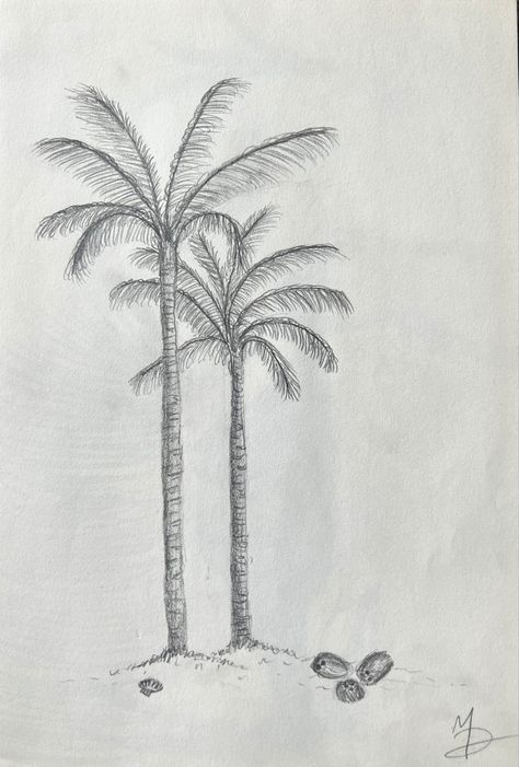 Beach Plants Drawing, Palm Tree Drawing Sketches, How To Draw A Palm Tree, Palm Tree Sketch, Beach Sketch, Bird Pencil Drawing, Palm Tree Drawing, Palm Trees Landscaping, Landscape Pencil Drawings