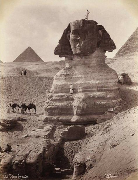 Sphinx Egypt, Sphinx Of Giza, Ancient Egyptian Architecture, Ancient History Archaeology, Giza Pyramids, Giza Egypt, The Sphinx, Great Pyramid Of Giza, Old Egypt