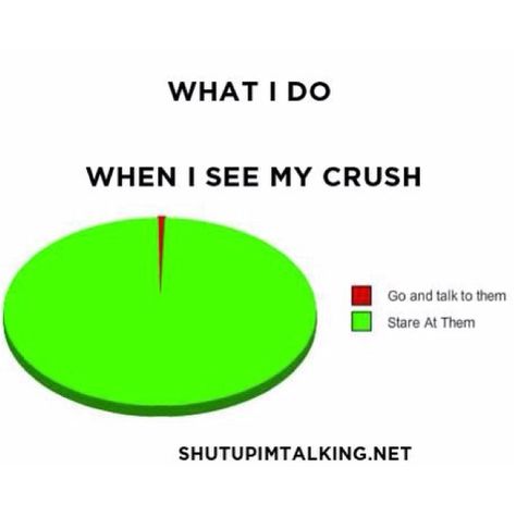 I just love this so much because it's true :) When I See My Crush, Crush Problems, Apps For Teens, Secret Crush Quotes, Crush Humor, Crushing On Someone, Crush Memes, Psychology Fun Facts, Hashtag Relatable