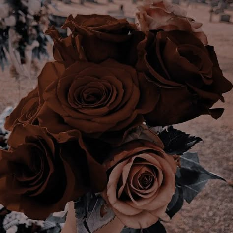 Brown Inspo Aesthetic, Brown Roses Aesthetic, Brown Goth Aesthetic, Brown Images Aesthetic, Brown Asthetics Photos, Camila Core, Brown Goth, Bronze Aesthetic, Dark Brown Aesthetic