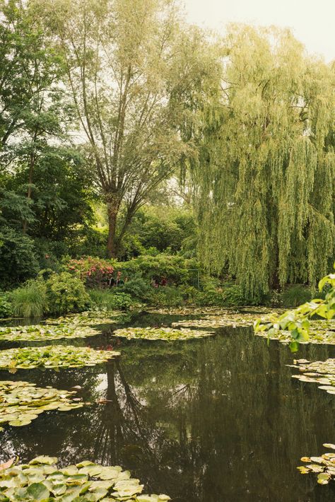 Cottagecore Background, Claude Monet Giverny, Monet Giverny, Green Cottagecore, Jamie Beck, Monet's Garden, Monet Paintings, Normandy France, Nature Aesthetic