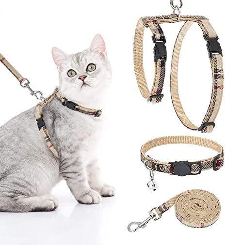 Best Cat Harness, Cat Harness And Leash, Style Harness, Leash And Collar, Rope Dog Leash, Cat Leash, Healthy Cat, Dog Branding, Beige Plaid