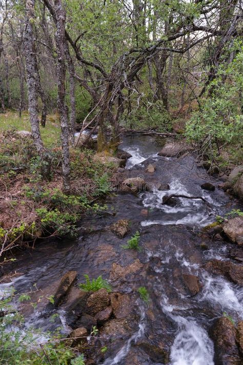 View of a mountain stream in spring in the sierra de guadarrama royalty free stock photos Mountain Meadow, Leaf Images, Mountain Stream, Vector Flowers, Bob Ross, Leaf Nature, Nature Scenes, Mountain View, Free Stock Photos