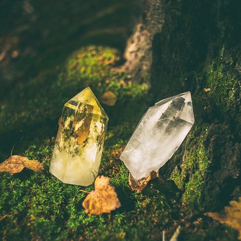 Crystals For Autumn, Rocks And Crystals Aesthetic, Fall Equinox Crystals, Crystal Magic Aesthetic, Autumn Crystals, Fall Crystals, Crystals In Nature, Crystals Photography, Crystal Aesthetics