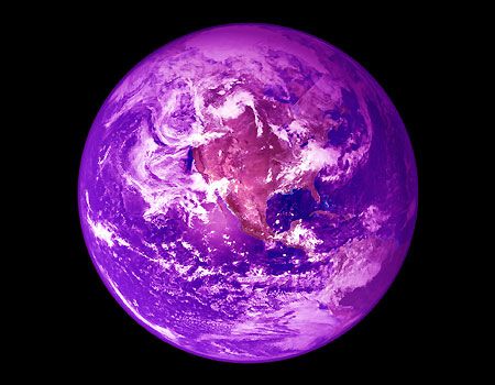 Purple Colour Shades, Facts About Earth, Lassen Volcanic National Park, Shades Of Violet, Planetary Science, Life On Earth, All Things Purple, Purple Aesthetic, Plant Life