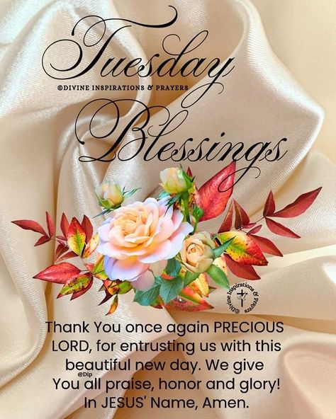 Afternoon Prayer, Beautiful Tuesday, Tuesday Quotes Good Morning, Saturday Blessings, Tuesday Blessings, Morning Tuesday, Week Quotes, Happy Tuesday Quotes, Good Morning Tuesday