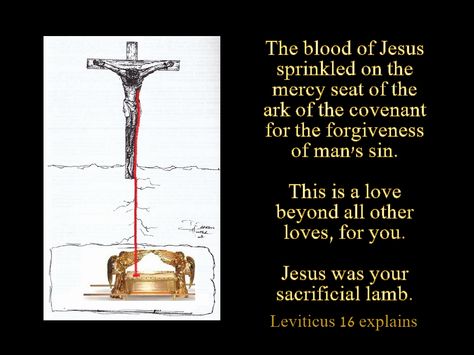 HIS BLOOD HAD TO BE sprinkled on the Mercy Seat. Leviticus 16. Ark of the Covenant found by Ron Wyatt, revealed in these last days. Ark Of The Covenant Ron Wyatt, Mercy Seat Of God, Moses Parting The Red Sea, Moses The Red Sea, Precious Blood Of Jesus, Moses Red Sea Art, Moses Red Sea, Teaching Government, Jesus Has Risen