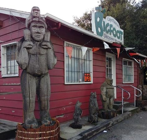 4. Bigfoot Discovery Museum– Felton Felton California, Discovery Museum, Santa Cruz Mountains, Vr Experience, Redwood Forest, Visual Aids, Wine Country, Northern California, California