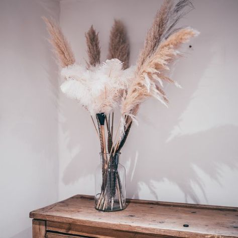 Display Feathers, Furniture Light, Feather Duster, Head Set, White Feather, Ostrich Feather, Colorful Feathers, Dusters, White Feathers