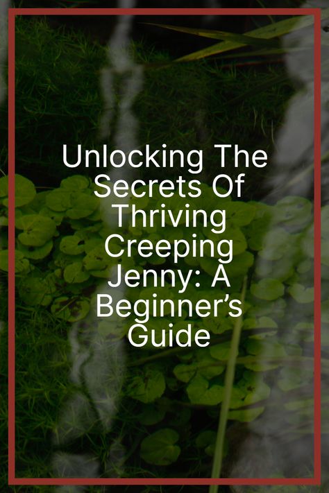 Create a Lush Green Carpet with Creeping Jenny 🌿🌼🌱 Dive into the world of Creeping Jenny, a versatile ground cover with charming yellow flowers and vibrant foliage. #CreepingJenny #GardenBeauty #GroundCove Creeping Jenny Ground Cover, Creeping Jenny Plant, Lysimachia Nummularia, Landscape Hardscape, Creeping Jenny, Invasive Plants, New Roots, Homes Interior, Green Carpet