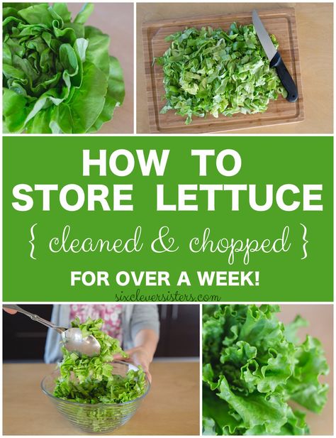 Storing lettuce | Storing Chopped Lettuce | Healthy Eating | In the fridge | This is how to store lettuce in your fridge for at least a week! Keep it cleaned and chopped so you can make a healthy lunch or dinner in no time at all! Storing Lettuce, Flavorful Salads, Wilted Greens, Lettuce Recipes, Storing Fruit, Storing Vegetables, Kale Salad Recipes, Drink Inspiration, Fruit And Vegetable Storage