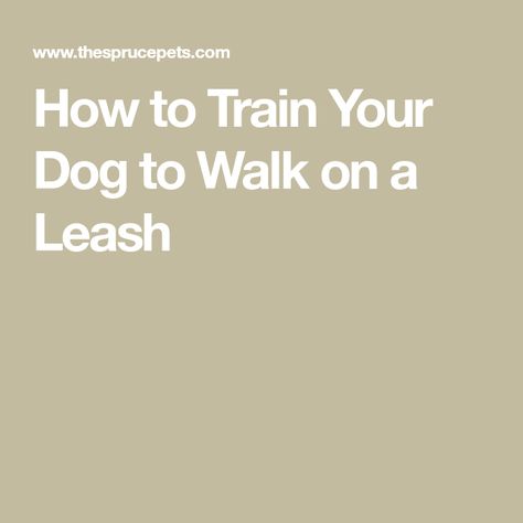 How to Train Your Dog to Walk on a Leash Loose Leash Walking, Basic Dog Training, Leash Training, Dog Training Videos, Train Your Dog, Milwaukee Wisconsin, How To Train, The More You Know, Shelter Dogs