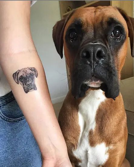 14 Realistic Boxer Tattoos Inspired By The True Friendship | PetPress Dog Tattoo Boxer, Boxer Dog Tattoo Simple, Boxer Tattoo Dog, Boxer Dog Tattoo Ideas, Realistic Dog Tattoo, Cosmo Tattoo, Boxer Dog Tattoo, Boxer Tattoo, Tatoo Dog