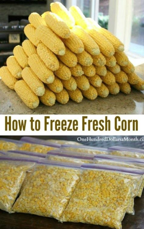 Blanch Corn For Freezing, Freezing Vegetables From Garden, How To Put Up Fresh Corn, Shucking Corn Easy, Recipes You Can Freeze, Corn Freezing, Food To Freeze, Freeze Veggies, Freezing Produce