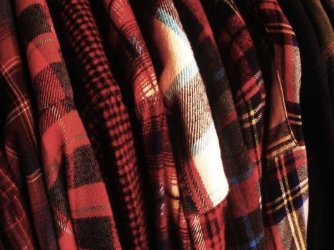 my cozy tree house Flannel Aesthetic, Gryffindor Aesthetic, Miss Americana, Lake Front, Red Flannel, Another Man, Life Is Strange, Men's Apparel, Field Jacket