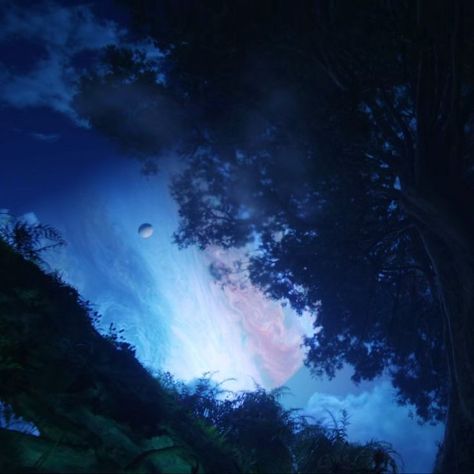 Avatar Widgets, Pandora Forest, Pandora Aesthetic, Avatar Shifting, Avatar Aesthetic, Avatar Film, Avatar James, Avatar 2009, Star Wars Prequels