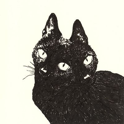 A Black, Black Cat, White, Black, Art