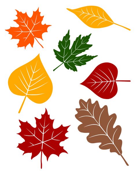 fall leaves printable from no time for flash cards.com Fall Leaf Printouts, Fall Leaves Cutout Template, Autumn Leaves Template, Autumn Leaves Printable, Fall Leaves Printables, Fall Leaves Template Free Printable, Leaf Printables, Leaf Template Printable, Fall Leaf Template