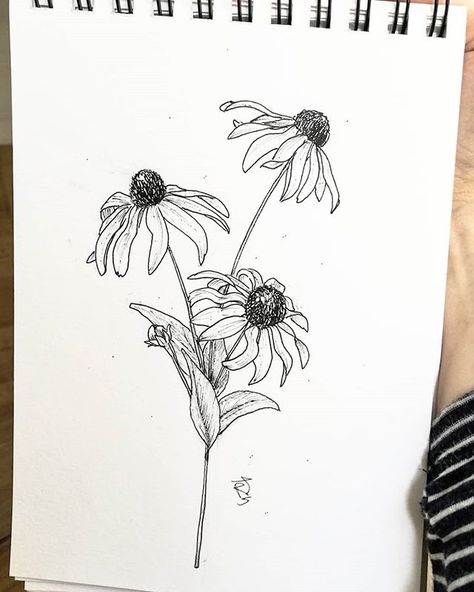 Rosine Doodles az Instagramon: „SMUDGE . Black Eyed Susans again! The American(is it?) sort is so cute! Also today I used a random pen for the outline and I forgot it was…” Black Eyed Susan Tattoo, Black Eye Susan, Bluebonnet Tattoo, Black Eyed Susans, Mommy Tattoos, Sleeve Ideas, Fancy Art, Plant Drawing, Outline Drawings