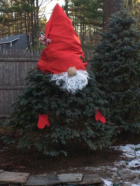 Christmas Tree Gnomes, Christmas Knomes, Tree Gnomes, Outdoor Christmas Diy, Outdoor Christmas Decor Ideas, Holiday Crafts Diy, Outdoor Christmas Tree, Christmas Decorations Diy Outdoor, Festival Diy