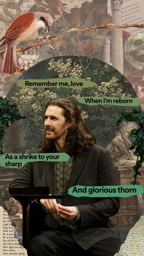 #hozier #hozierlyrics #hozieraesthetic #shrike #singersongwriter #ivy #green Hozier, This Man, Pretty Wallpapers, Singer Songwriter, Ivy, Green