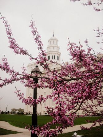 Pink nauvoo Nauvoo Illinois, Nauvoo Temple, Later Day Saints, Mormon Temples, Lds Church, Church Of Jesus Christ, Church History, Lds Temples, Latter Day Saints