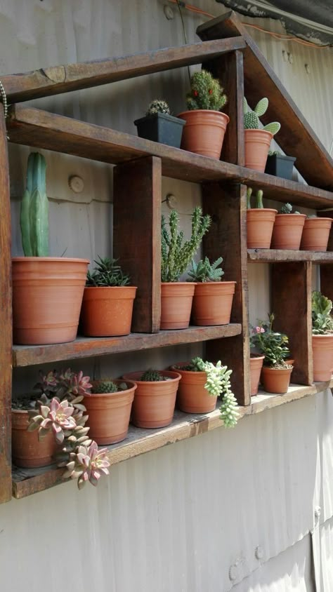 Window shelves for plants