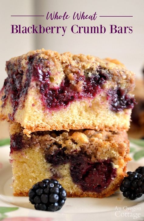 Use fresh blackberries to make moist and delicious Whole Wheat Blackberry Crumb Bars for your next summer gathering! Oregon Cottage, Breakfast Coffee Cake, Dessert Snacks, Crumb Bars, Blackberry Recipes, Easy Dessert Recipes Quick, Quick Easy Desserts, Oreo Dessert, S'mores