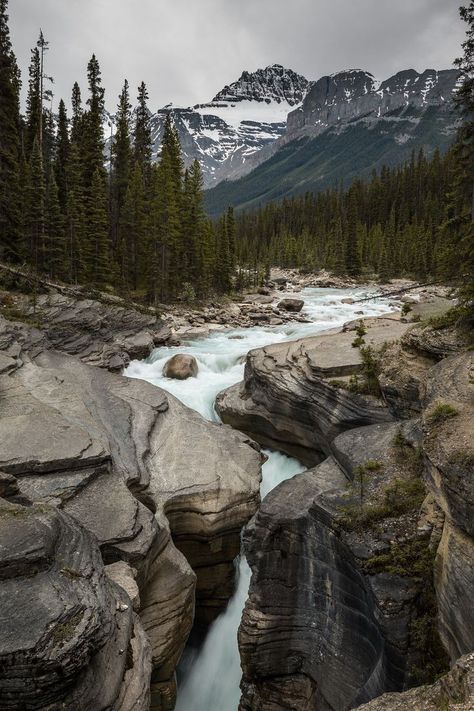 Mountain Streams, Canadian Forest, Canadian Wilderness, Nordic Nature, Canadian Nature, Mystical Places, Water Falls, Mountain Stream, Nature Scenery