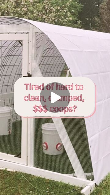 Natalie 🐓 Backyard Chicken Hoop Coop on Instagram: "Are you tired of cleaning struggles, overcrowding worries, predator threats, and costly wheel systems? You want to add chickens to your homestead or expand your flock, but don’t want to spend $$$ on costly chicken coops? 

Our hoop coop chicken tractor is a breeze to clean, easy to move to fresh grass, spacious, secure + budget friendly!

🎉The @CottonRiverFarm hoop coop is the perfect easy + affordable DIY solution!

Our FREE how-to build video shows you all the tips and tricks! 

Our blueprints, available for purchase, include all the details to build the coop, nesting box + wheel system!

💬Comment “blueprints” to get started!

👉🏻 Follow @CottonRiverFarm for more DIY builds, homestead hacks, and chicken keeping tips!

#HomesteadHack Hoop Coop, Homestead Hacks, Easy Diy Chicken Coop, Homesteading Animals, Backyard Animals, Easy Chicken Coop, Duck Coop, Chicken Coup, Chicken Keeping