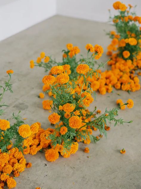 Marigold Aisle Ground Floral Installation, Carnation Wedding, Marigold Wedding, Wedding Alters, Orange Wedding Flowers, Floral Installation, Wedding Shower Decorations, Boda Mexicana, Online Classroom